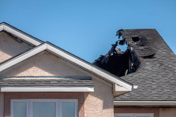 Licensed Content Restoration service in Cookstown, NJ - Fire Damage Biloxi